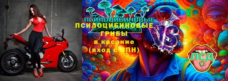 Галлюциногенные грибы Psilocybe  МЕГА как зайти  Завитинск 